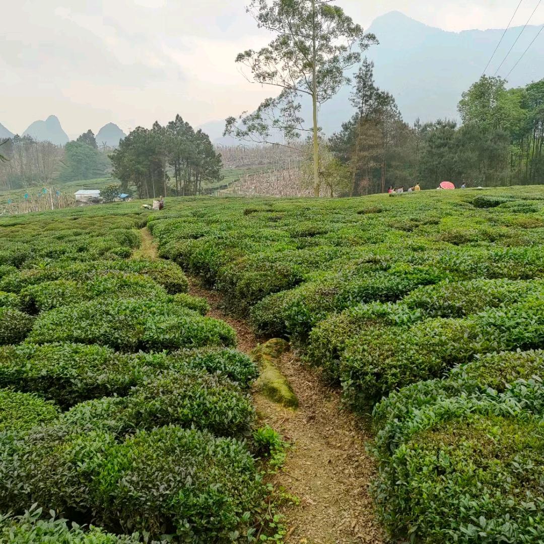 风趣一起加油