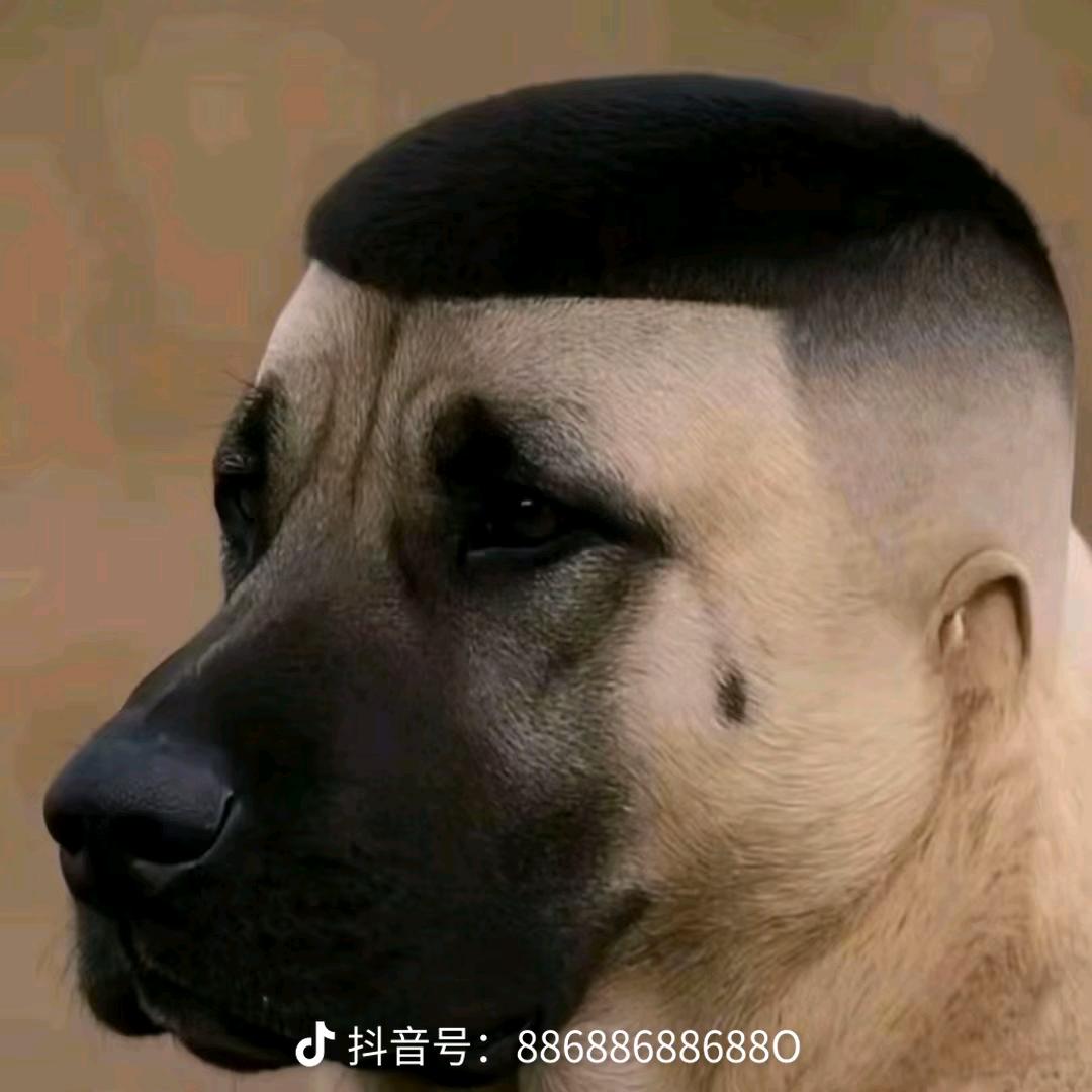 🌈🌈好菜好爱玩