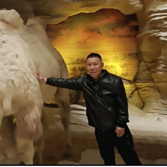 新星市火箭玉华底商新疆优质棉被加工厂