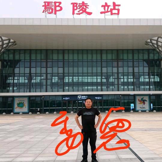 画羊魏哥