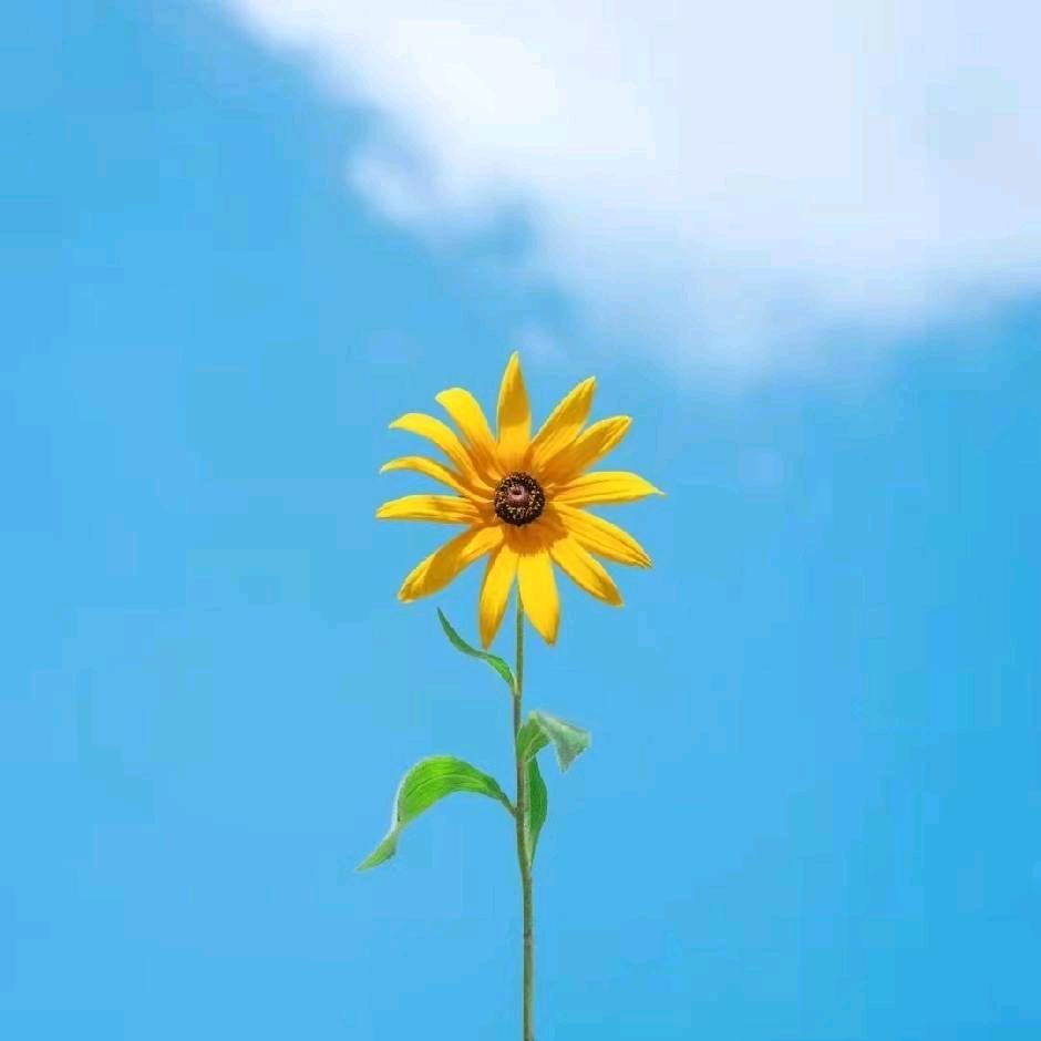 用户3019488556242