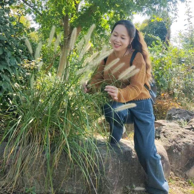 镜花水月