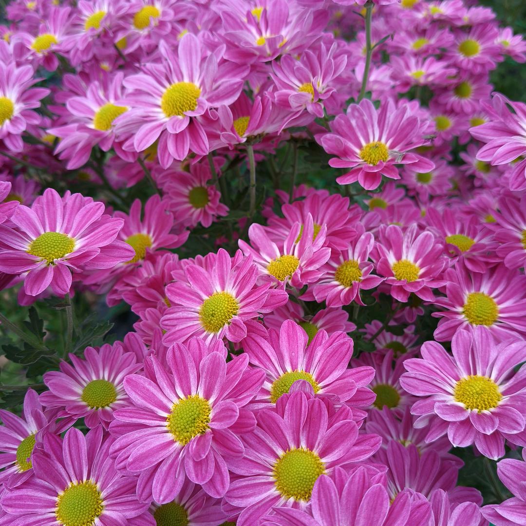 彬州@冷暖自知@