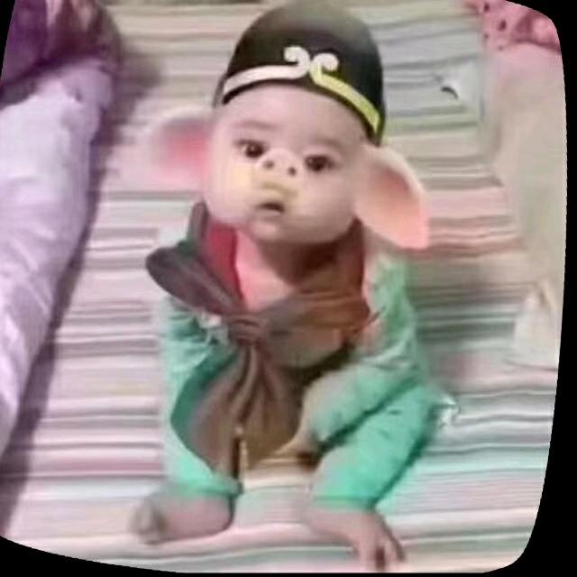 梦里花落知多少