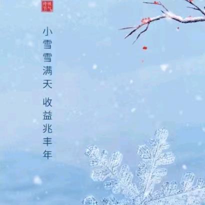 雪下白了头