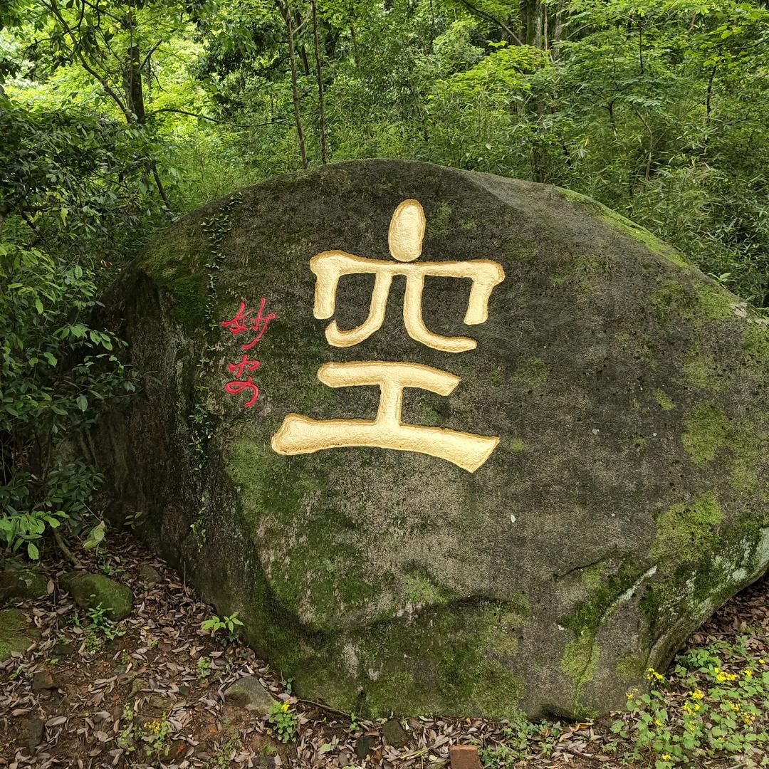 春来燕归