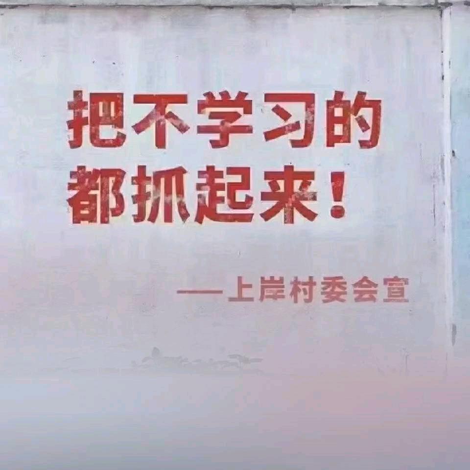 河南众邦李闯