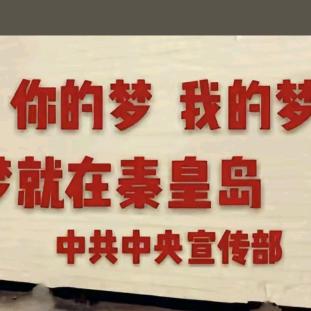 严哥做债务优化