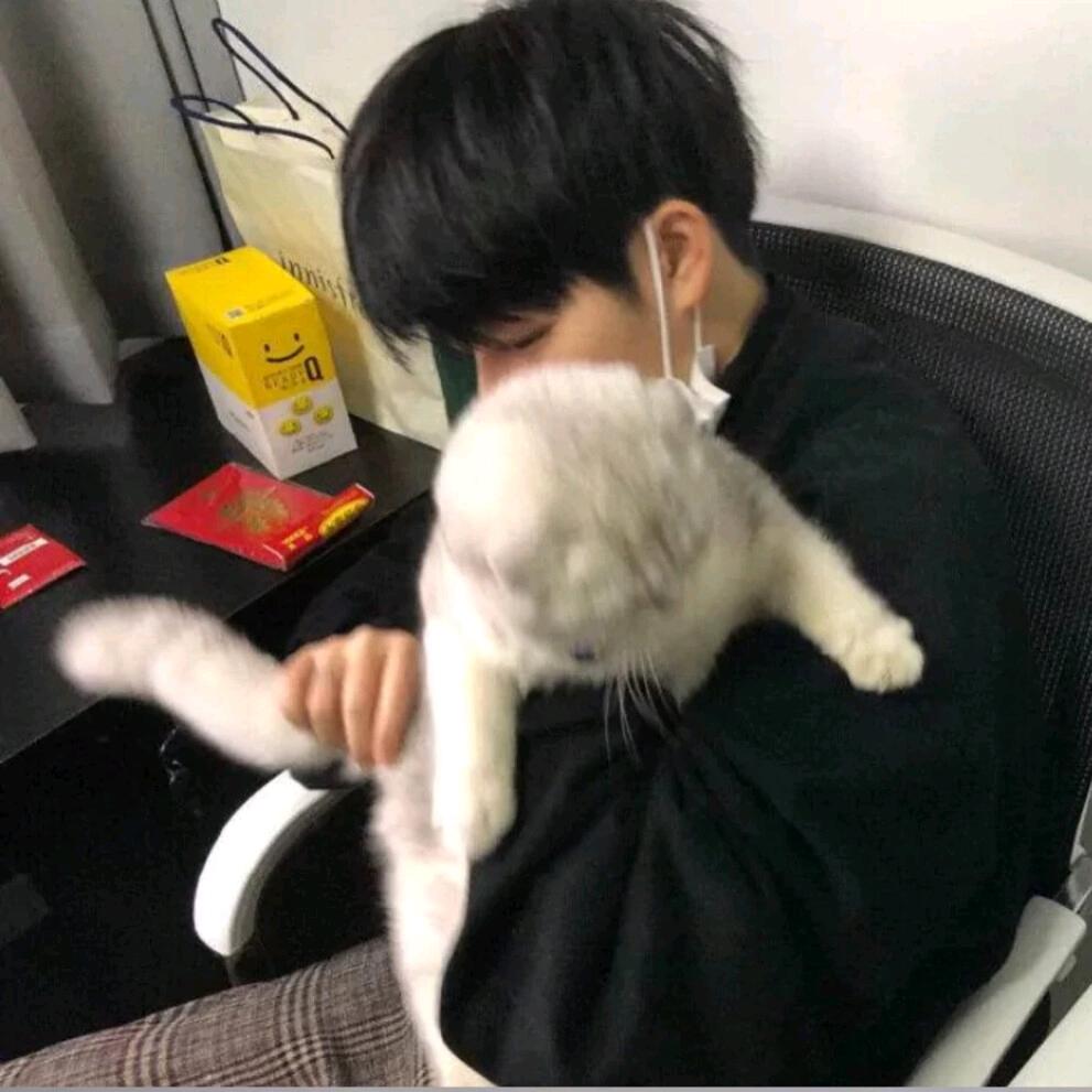 风起💞