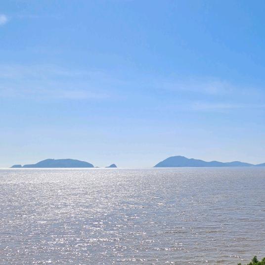 Li丽