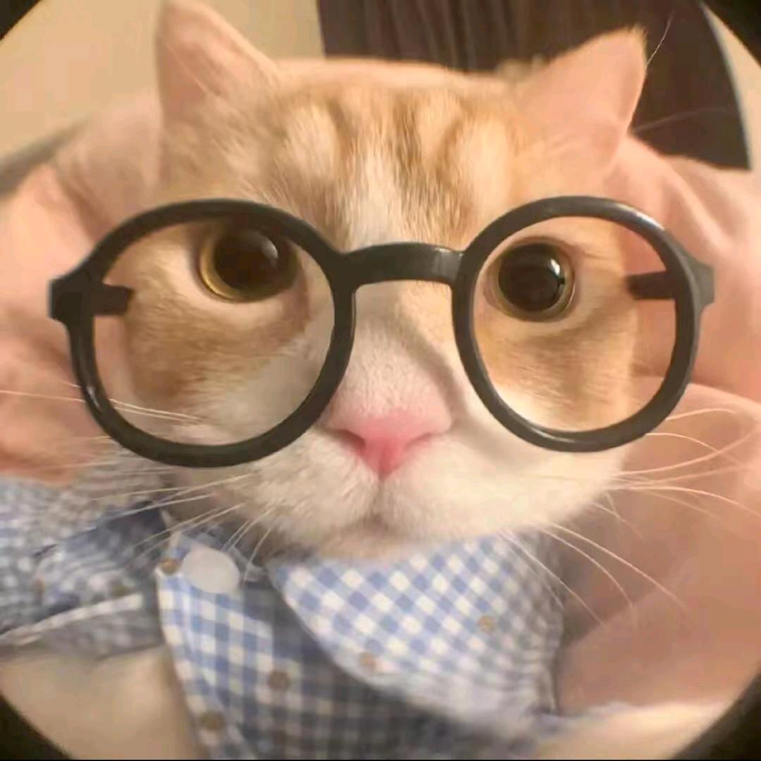 偷吃前妻骨灰被现任和小妾家暴