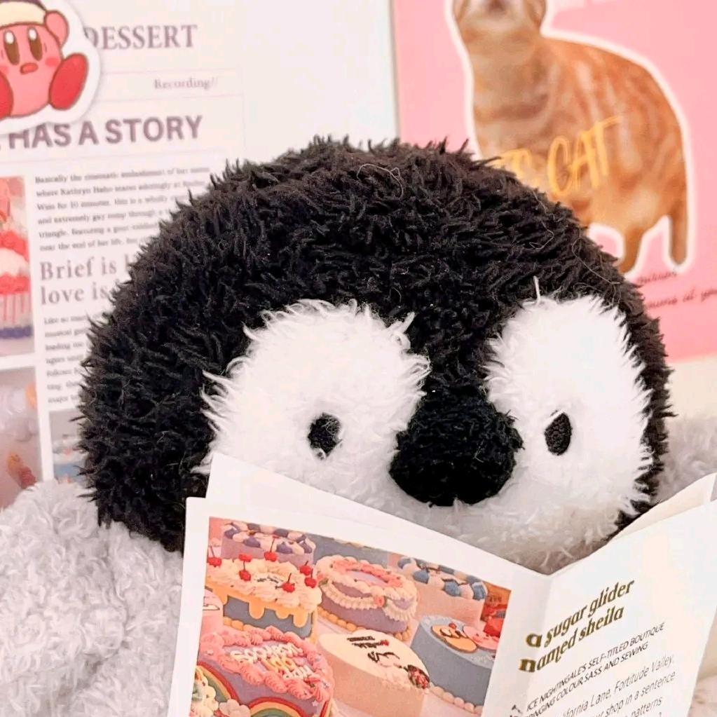 设计师-小芬😋