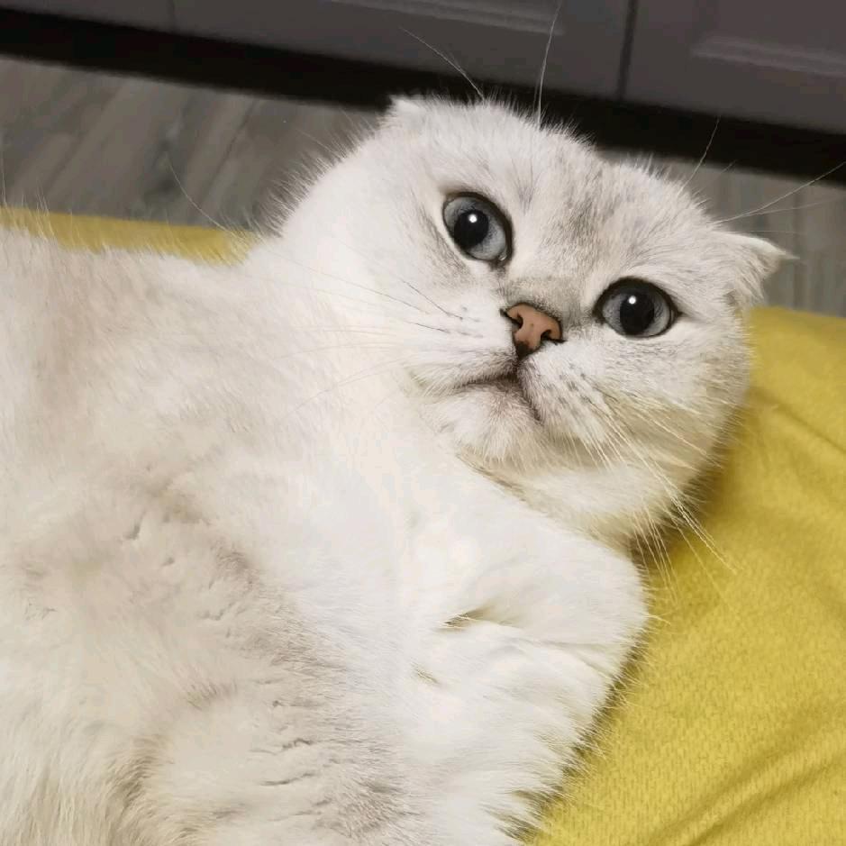 爱打工的小刘同学