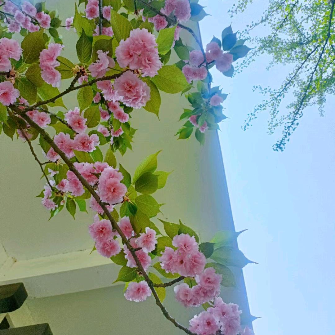 我们都要好好的