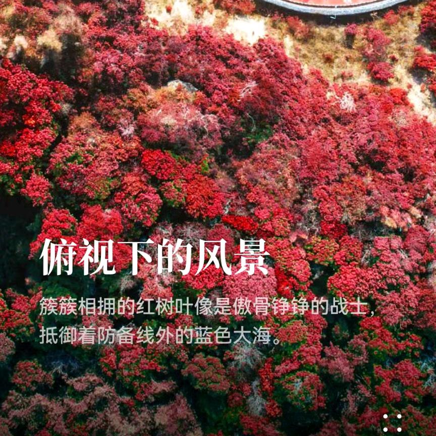 仰视下的风景