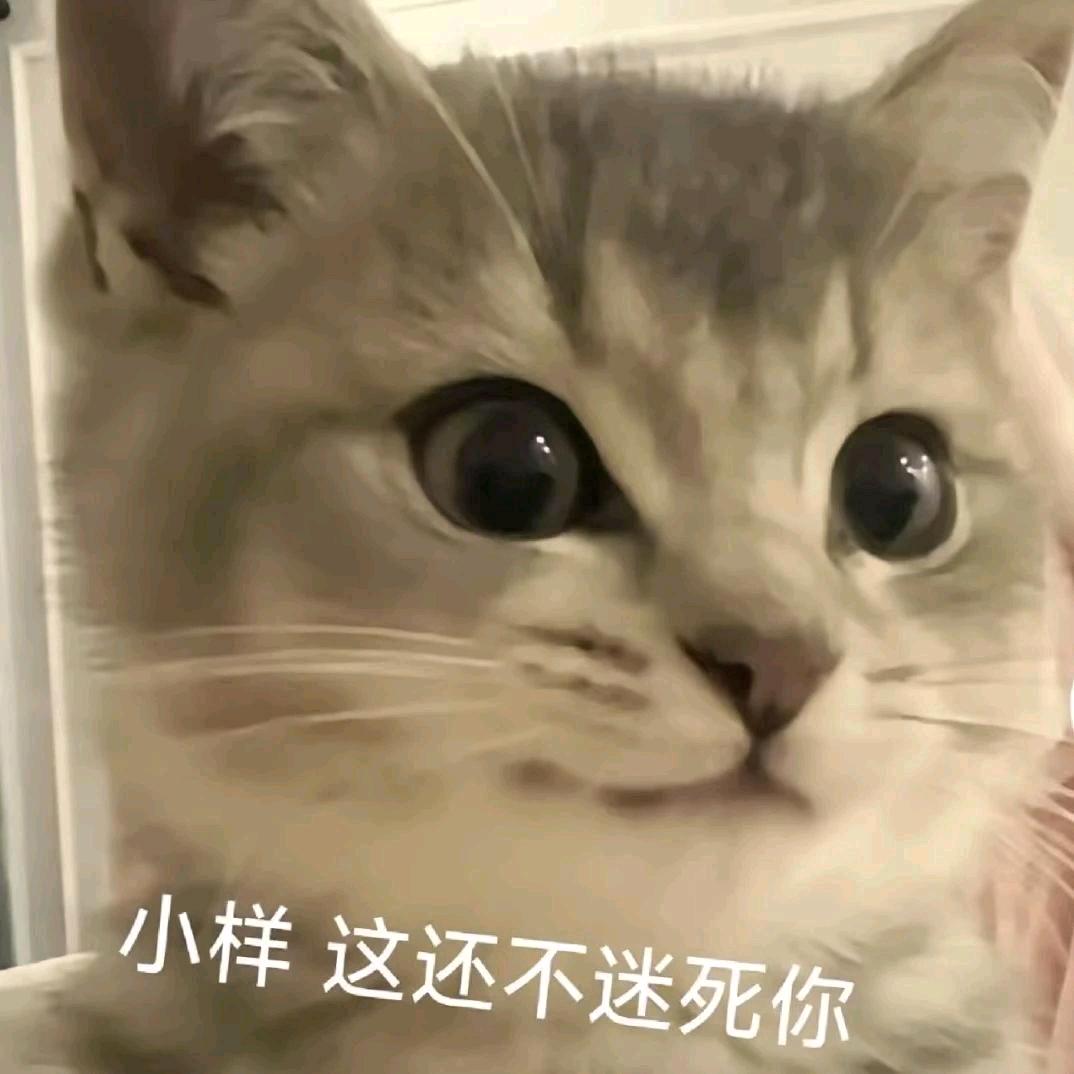 满船清梦压星河