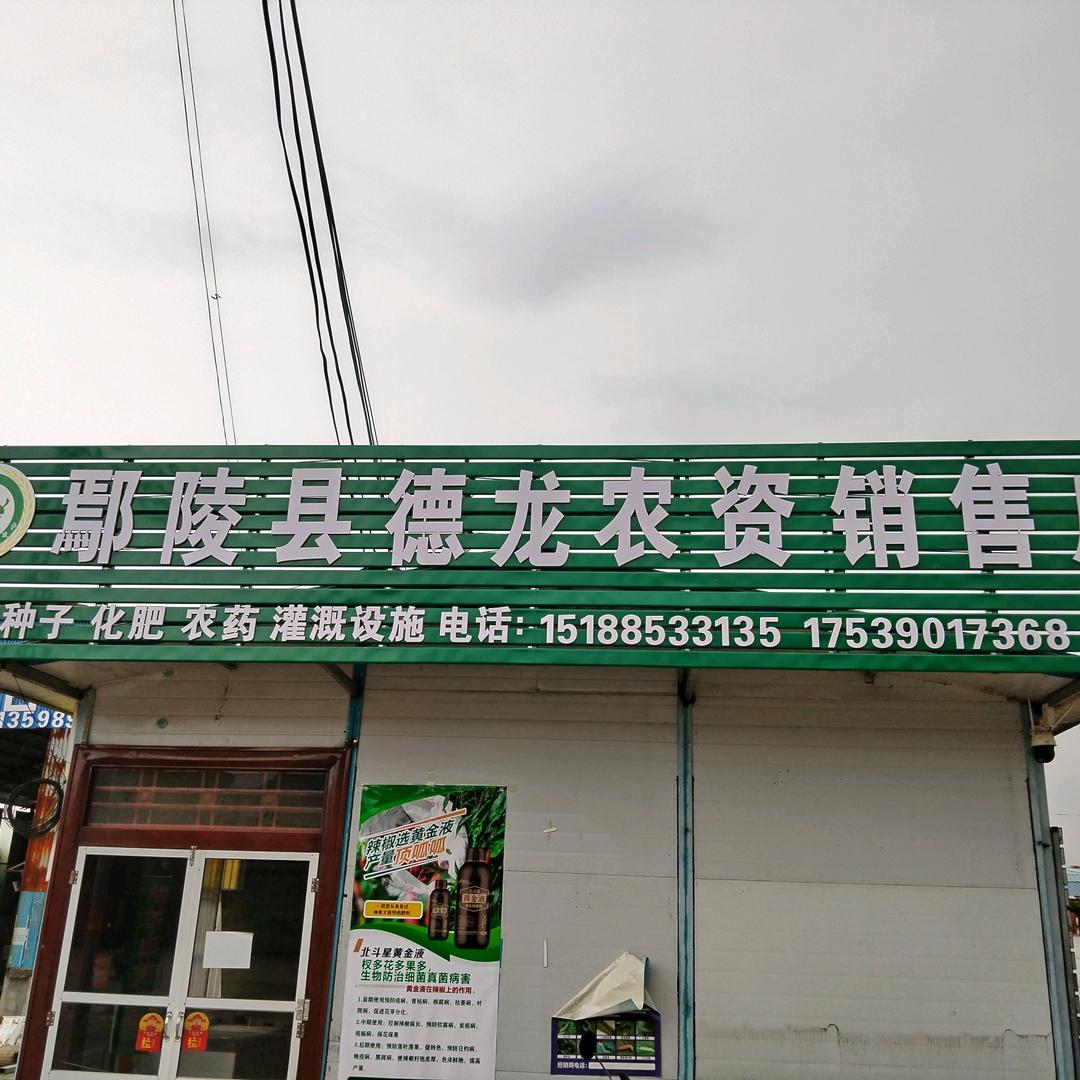 遗忘