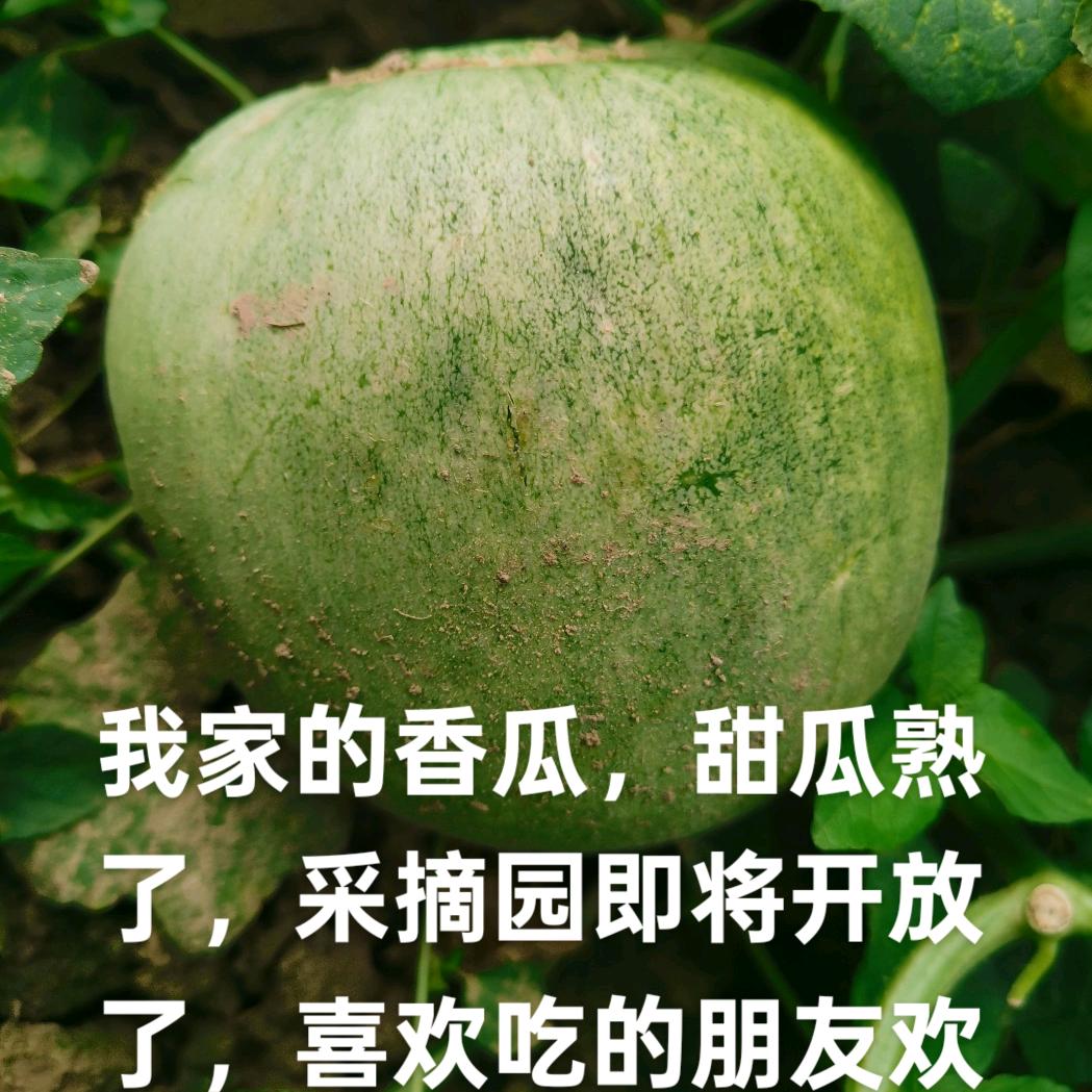 心灵驿站之余生有你