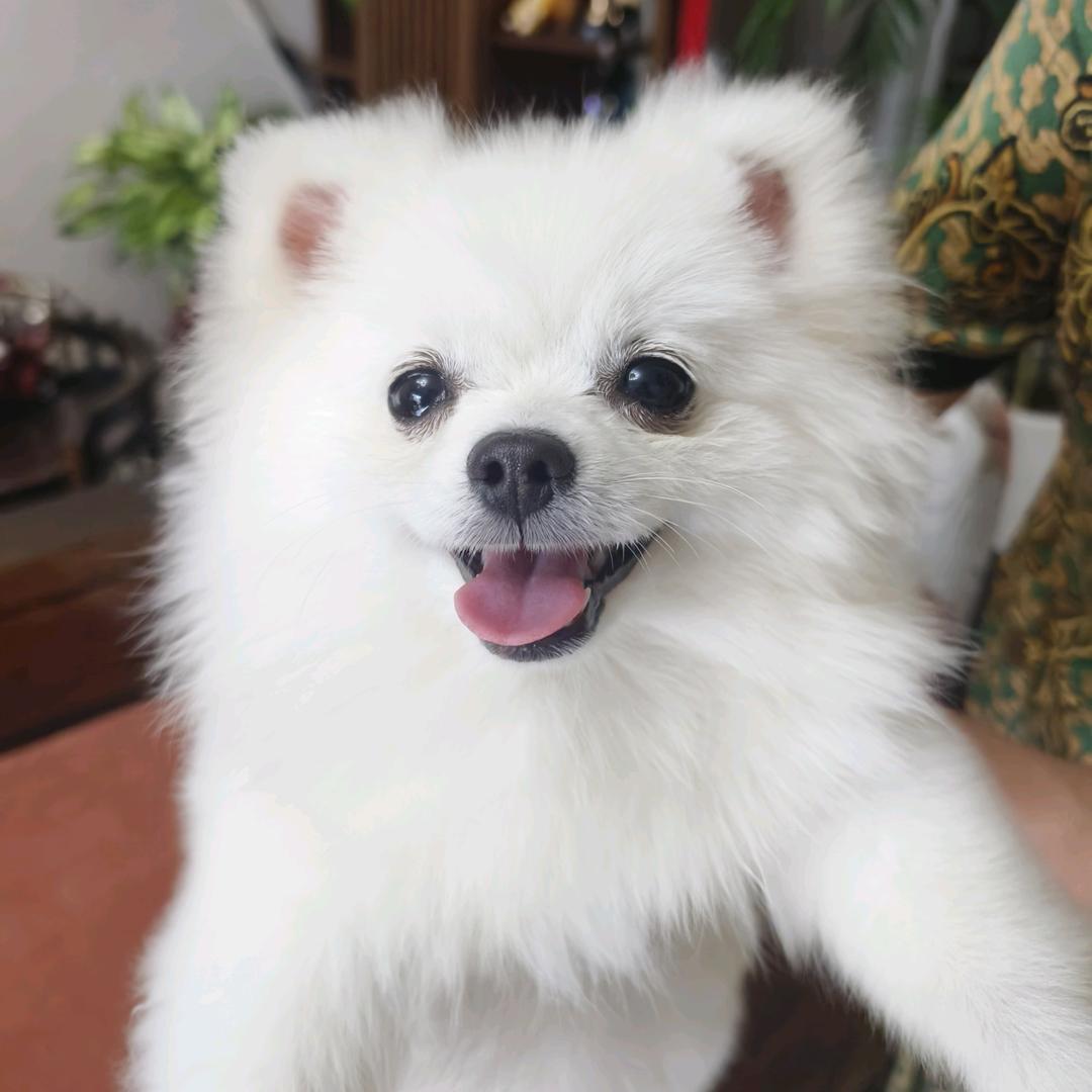 佛子