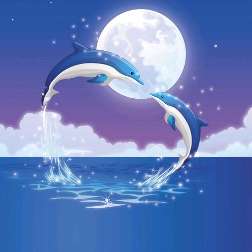 小海豚@💖💖💖