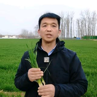 秋声说农业