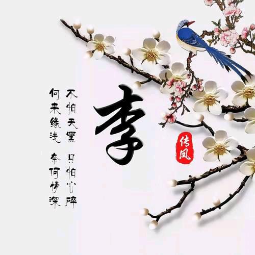 自由自在的民哥