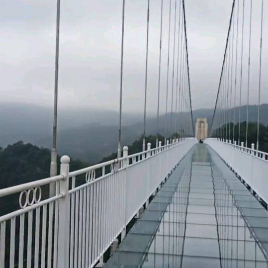 赏