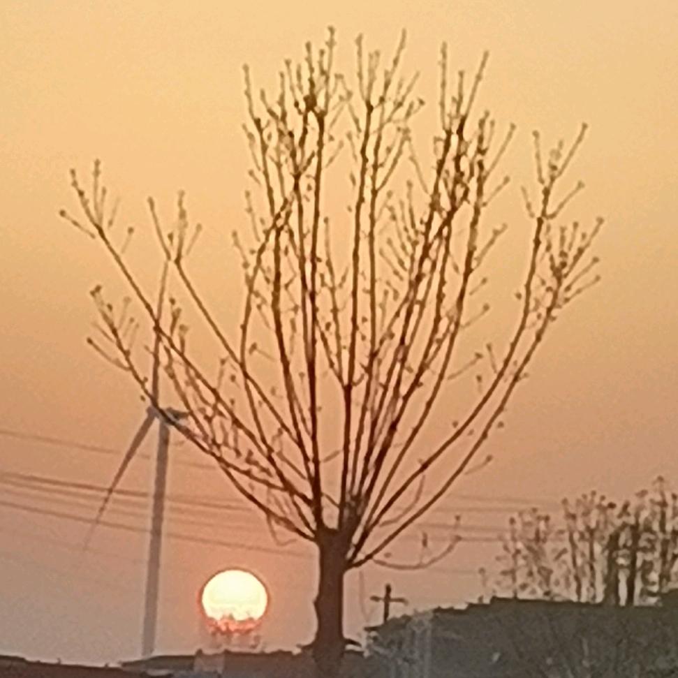 开心❤️快乐