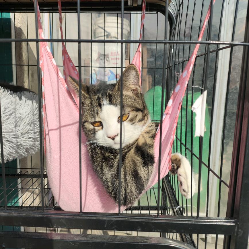 饭饭记录美好🈶💐