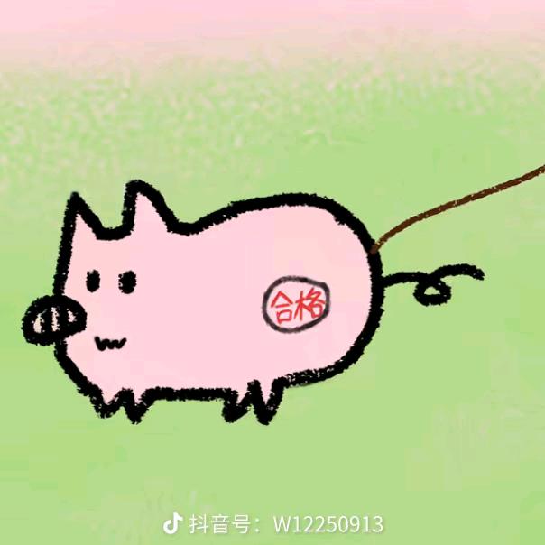 雨书