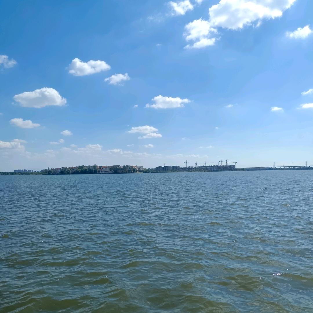 贵州糯米饭(阿丽)