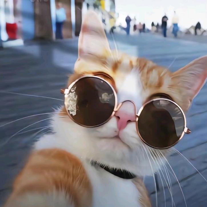 梦汐悠然垂钓园宠粉号