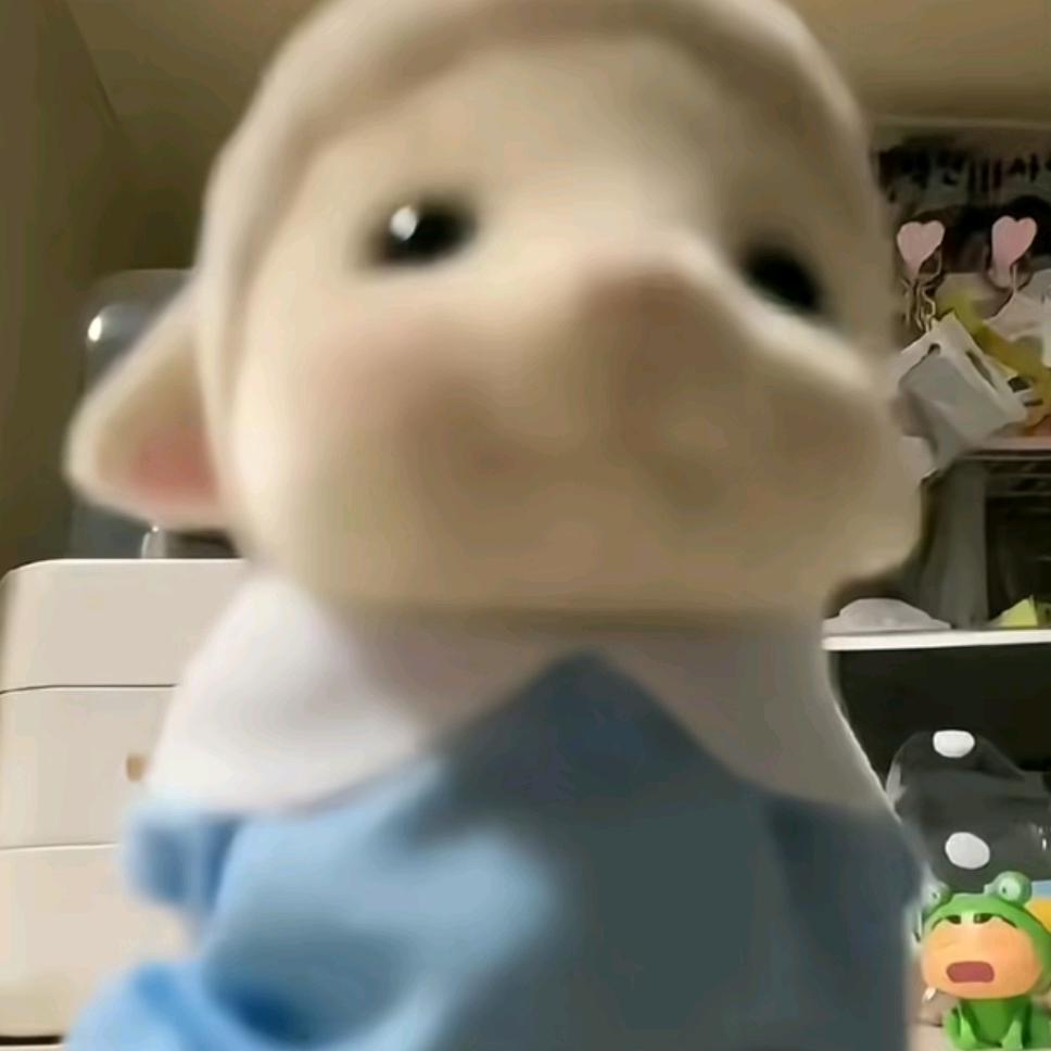 小七大王