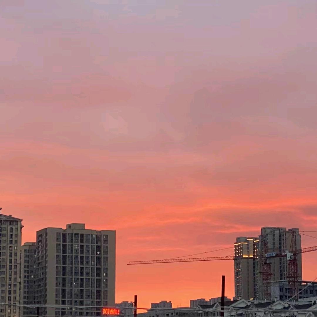 鹤