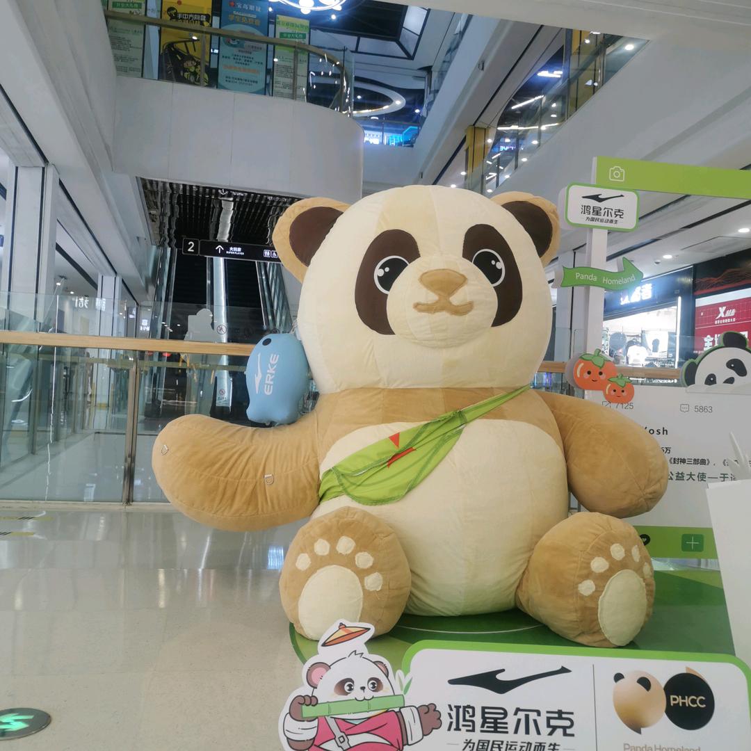 悲伤的小鸟