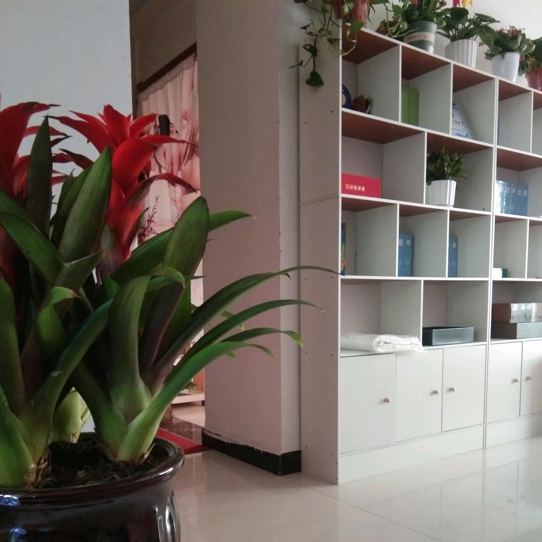 秀美美容美体中心