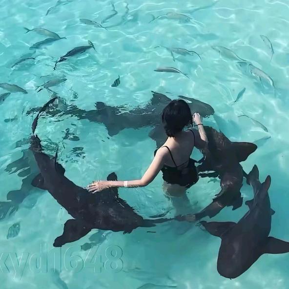 阿东的朋友圈🌞