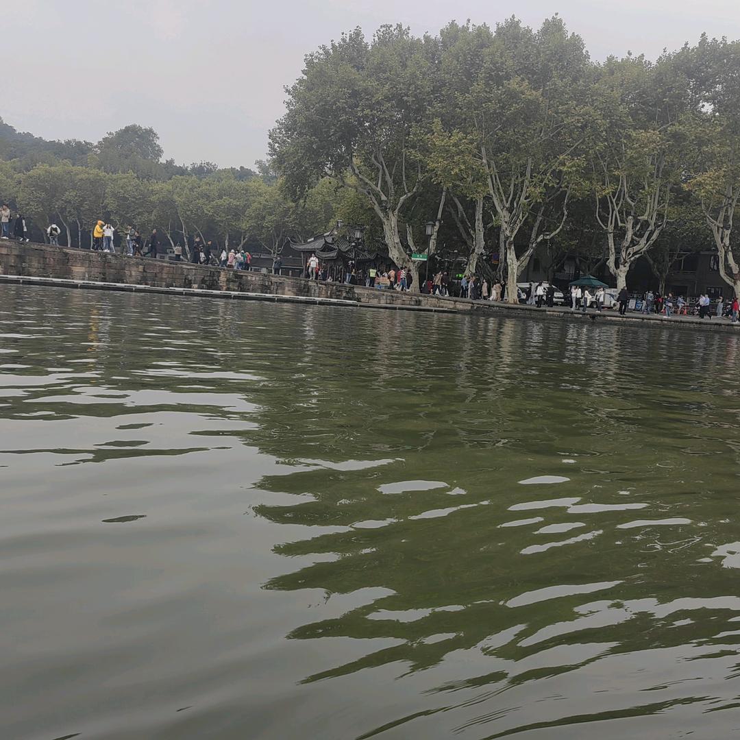 专业贴瓷砖