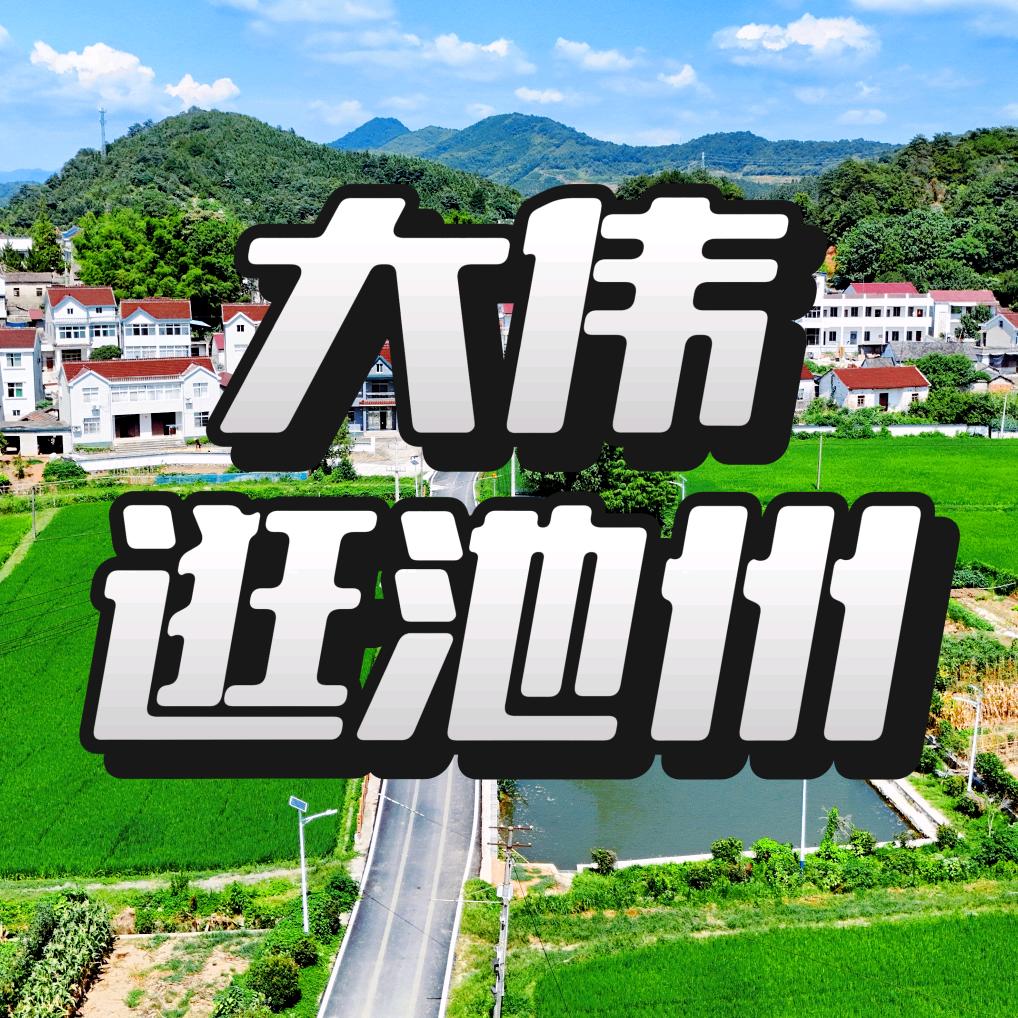 大伟逛池州