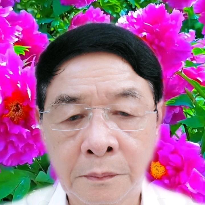 似水年华