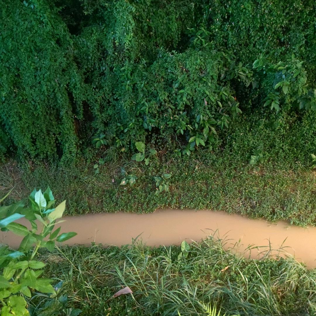 嗨嗨