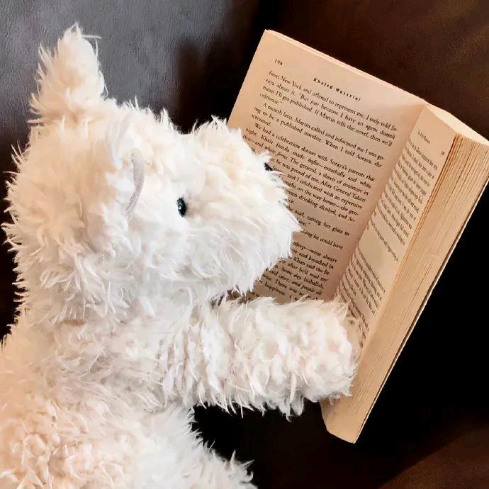 偷吃神明的鸡腿