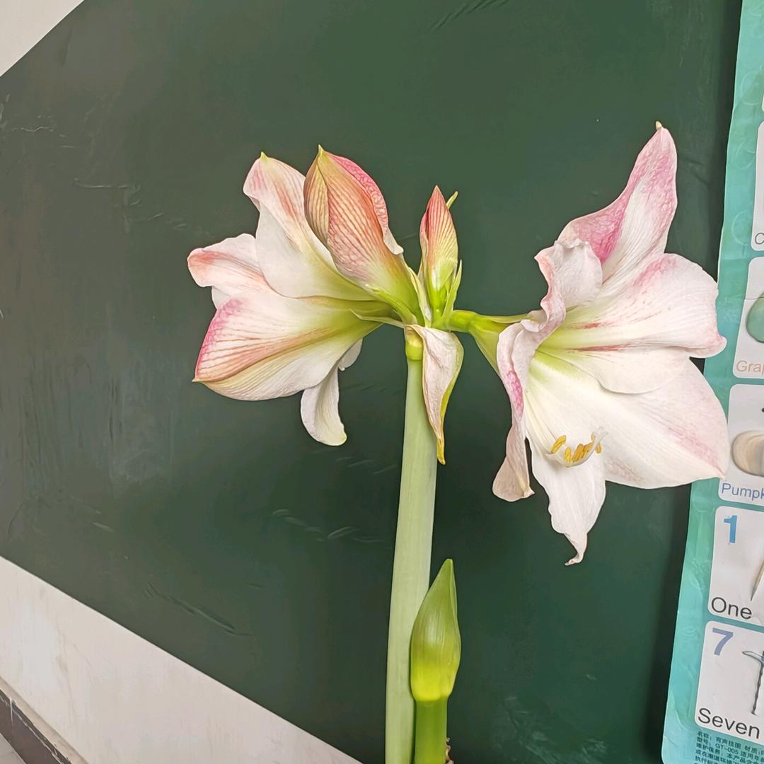 過客