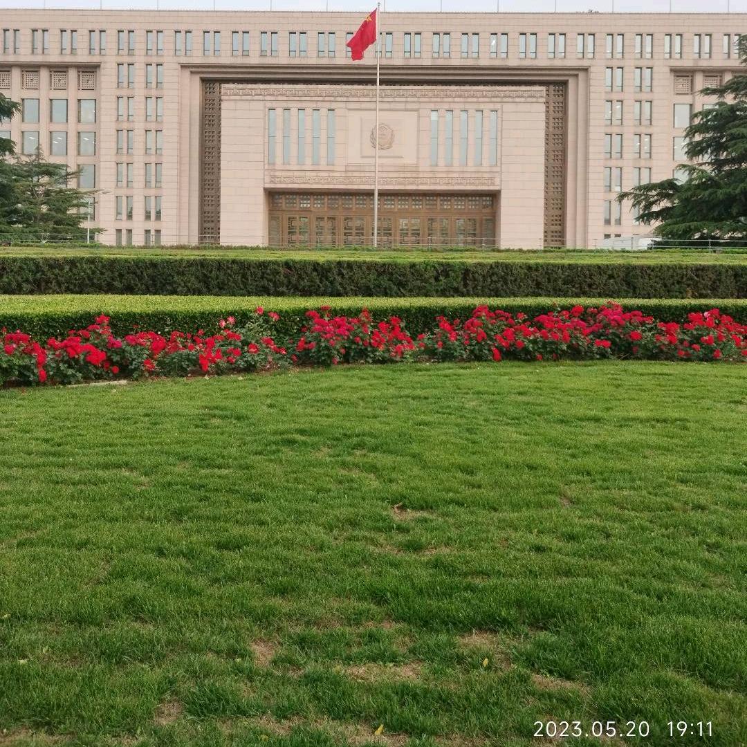 小蟋蟀