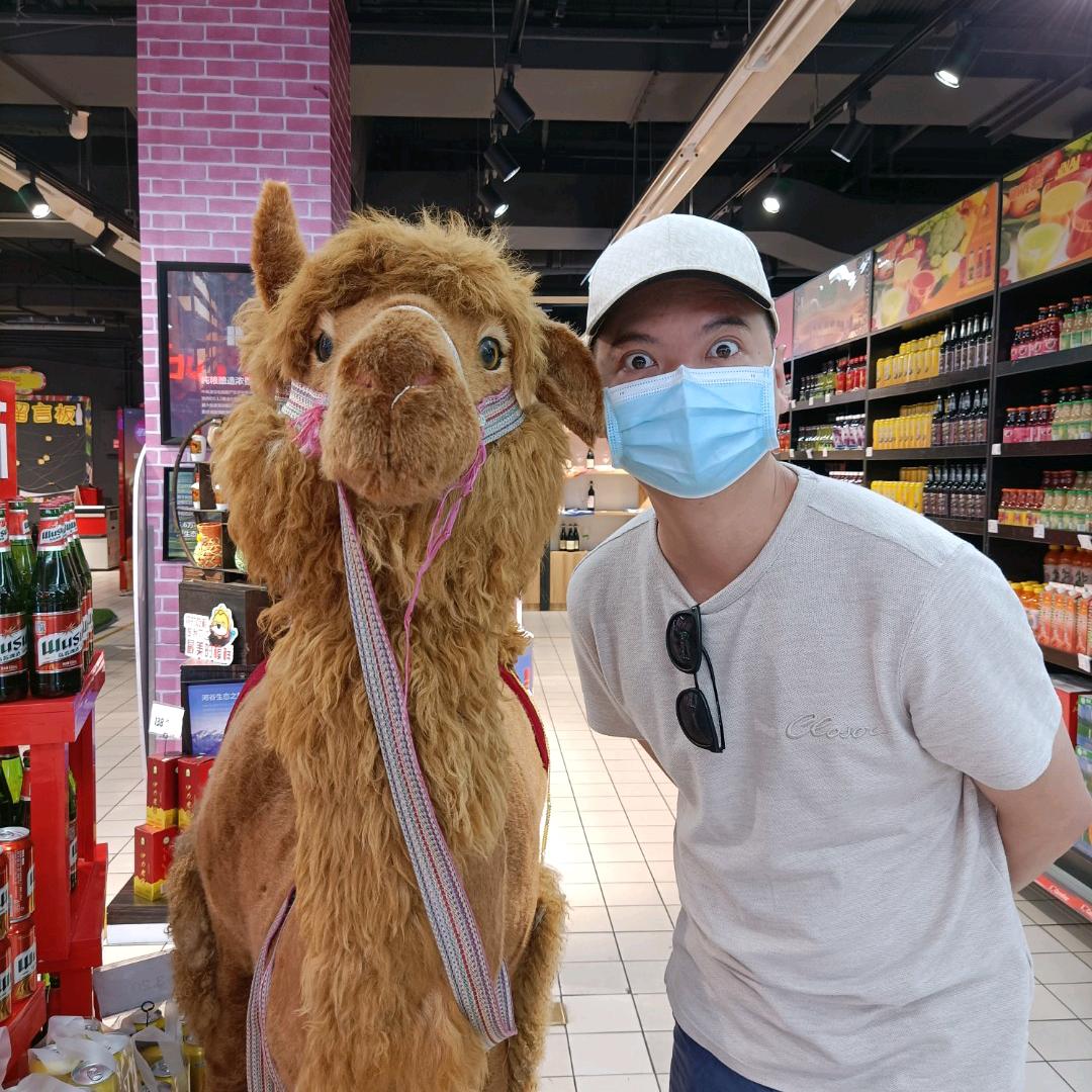 阿杜杜杜