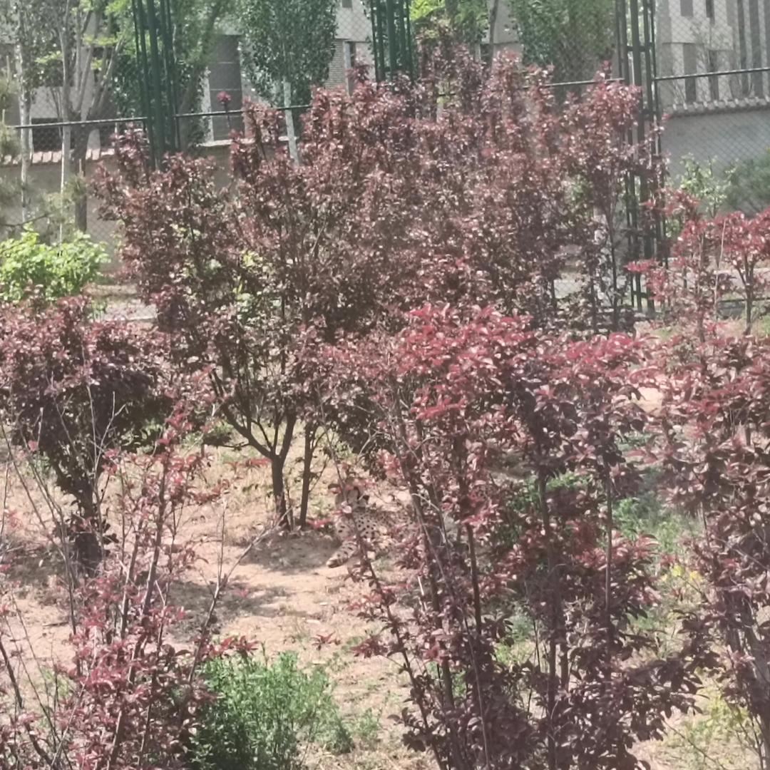 平安是福！人生最大的敌人是自己！