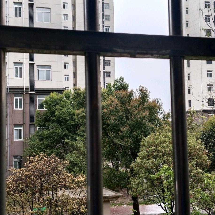 40864771469辉煌岁月