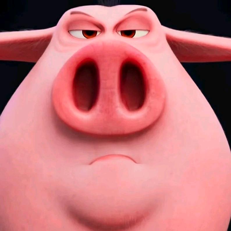 一只会飞的猪🐷（百泉药都百泉药都百..