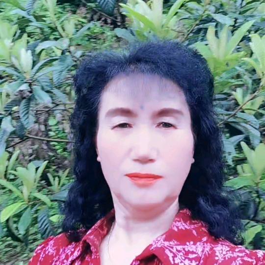 萍萍姐   （下午4点开播）