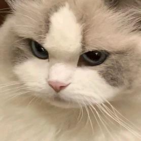 小钰的青青草原